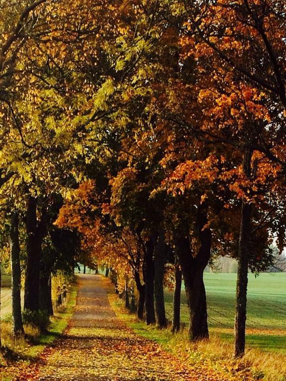 Stora Djuloe Vandrarhem Katrineholm Exteriér fotografie