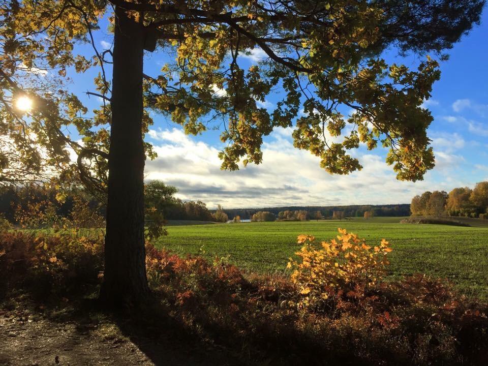 Stora Djuloe Vandrarhem Katrineholm Exteriér fotografie