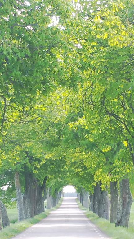 Stora Djuloe Vandrarhem Katrineholm Exteriér fotografie