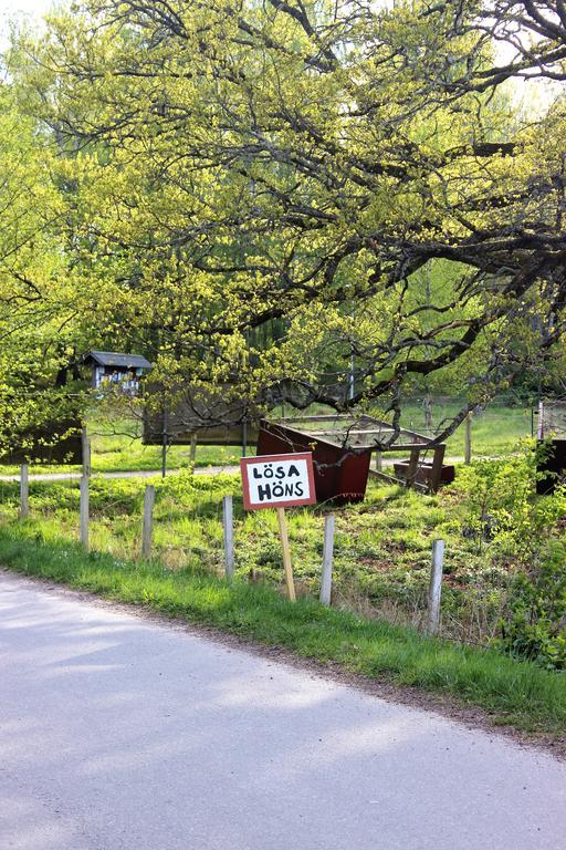 Stora Djuloe Vandrarhem Katrineholm Exteriér fotografie